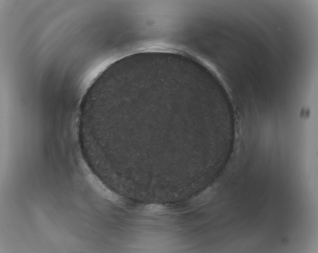 X0000112361463200909101245