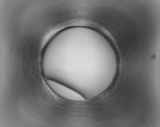 X0000112361464200909101245