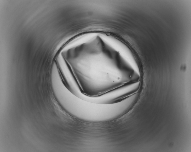 X0000112361465200909101245