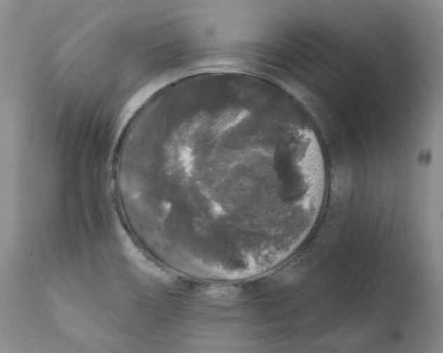 X0000112361466200909101245