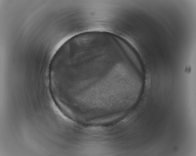 X0000112361468200909101245
