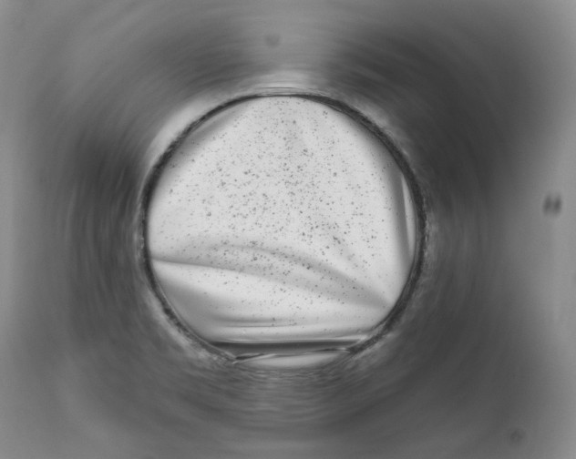 X0000112361469200909101245
