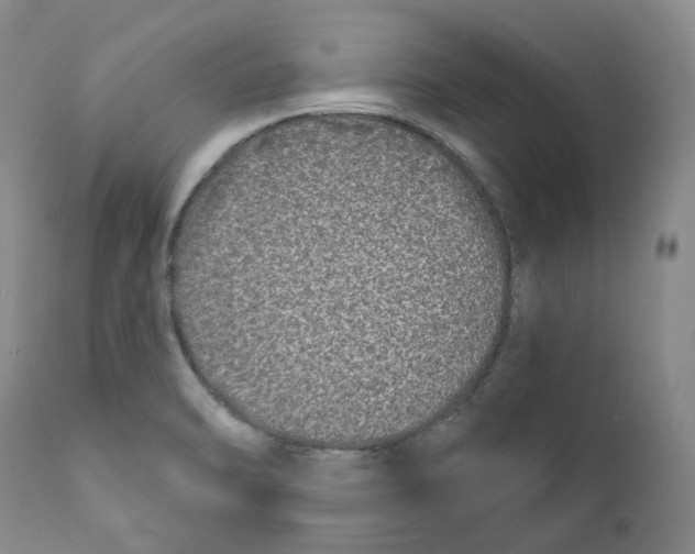 X0000112361470200909101245