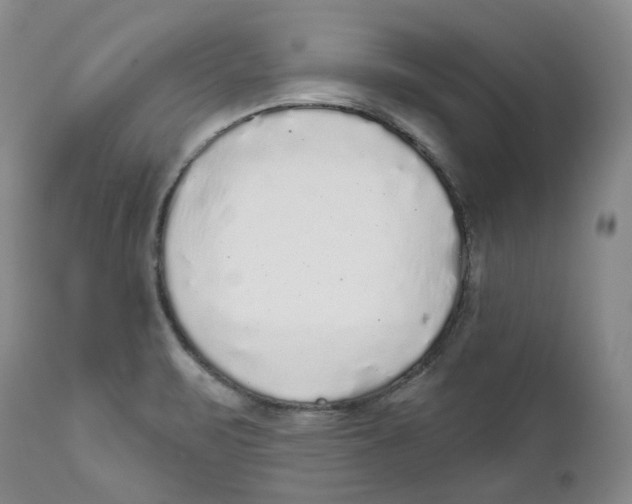 X0000112361471200909101245
