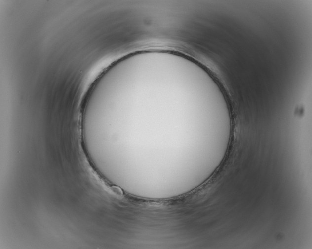 X0000112361472200909101245