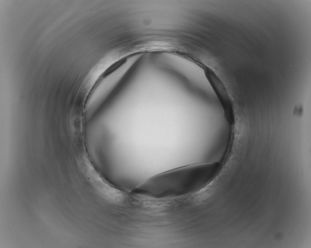 X0000112361473200909101245