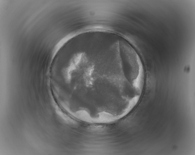 X0000112361474200909101245
