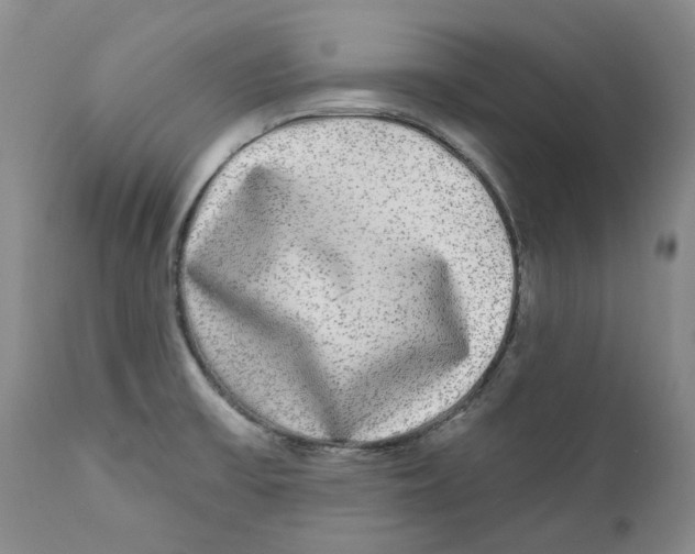 X0000112361475200909101245