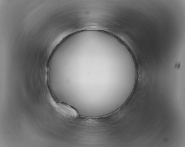 X0000112361476200909101245
