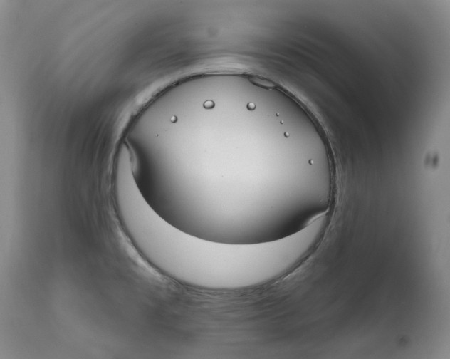 X0000112361477200909101245