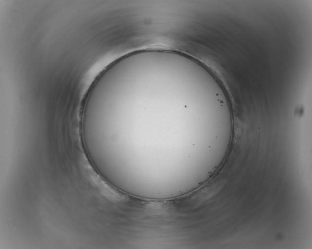 X0000112361480200909101245