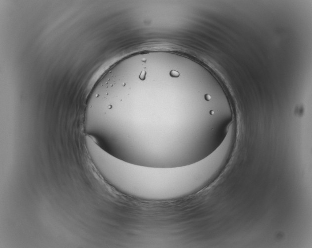 X0000112361481200909101245