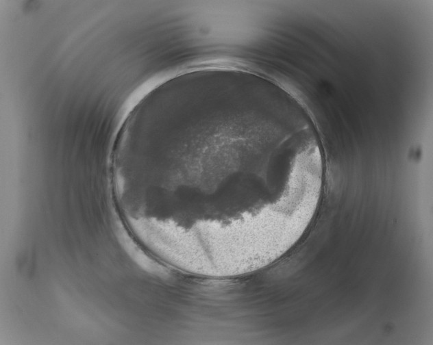 X0000112361482200909101245