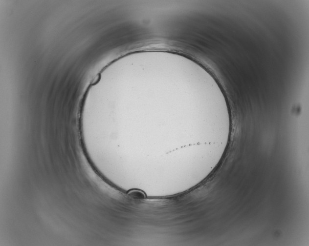 X0000112361483200909101245