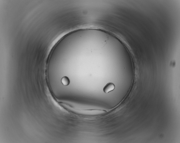 X0000112361484200909101244