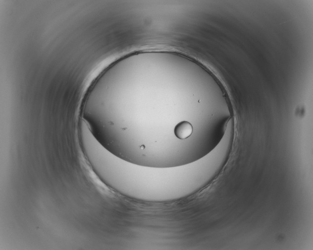 X0000112361485200909101244