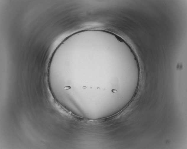 X0000112361488200909101244