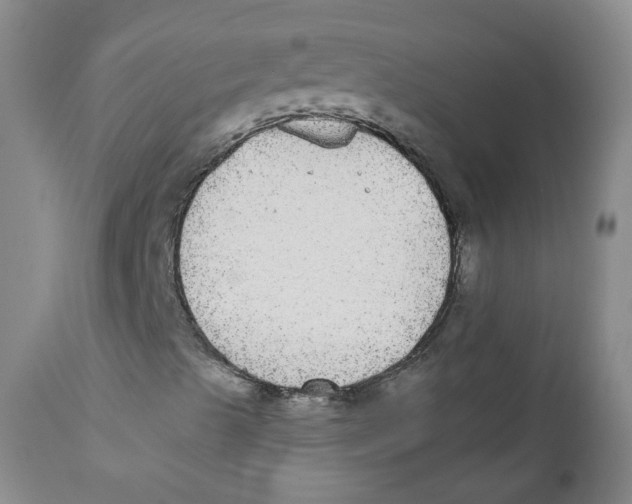 X0000112361489200909101244