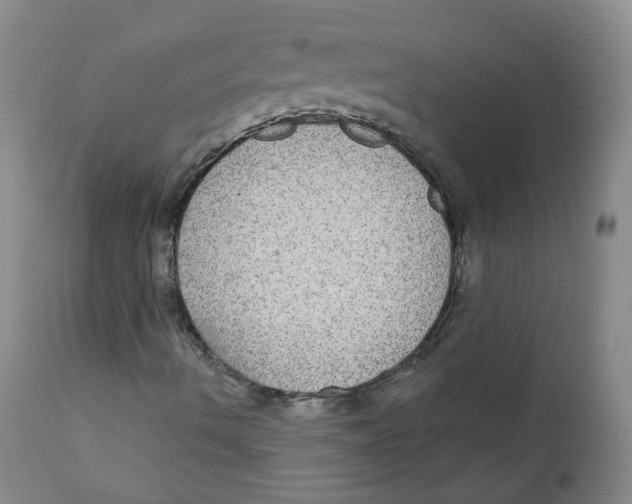 X0000112361490200909101244
