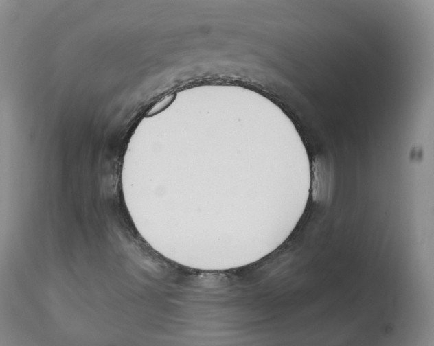 X0000112361491200909101244