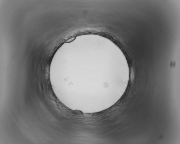 X0000112361492200909101244