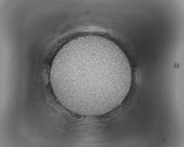 X0000112361493200909101244