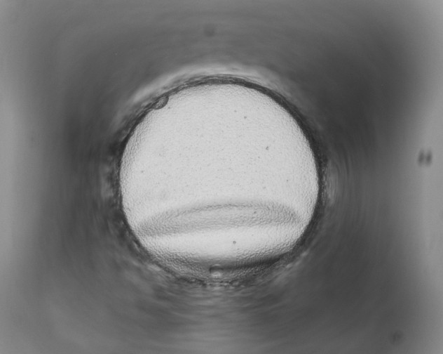 X0000112361494200909101244
