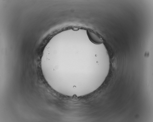 X0000112361495200909101244