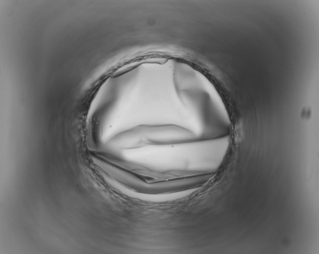 X0000112361496200909101244