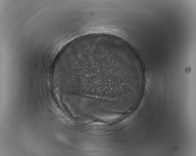 X0000112361497200909101244
