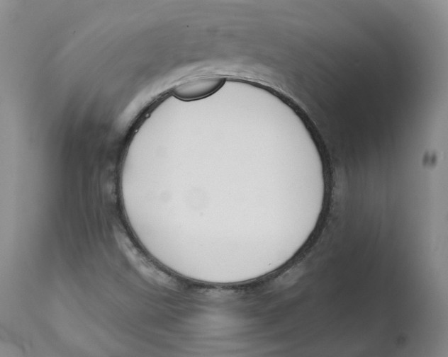 X0000112361499200909101244