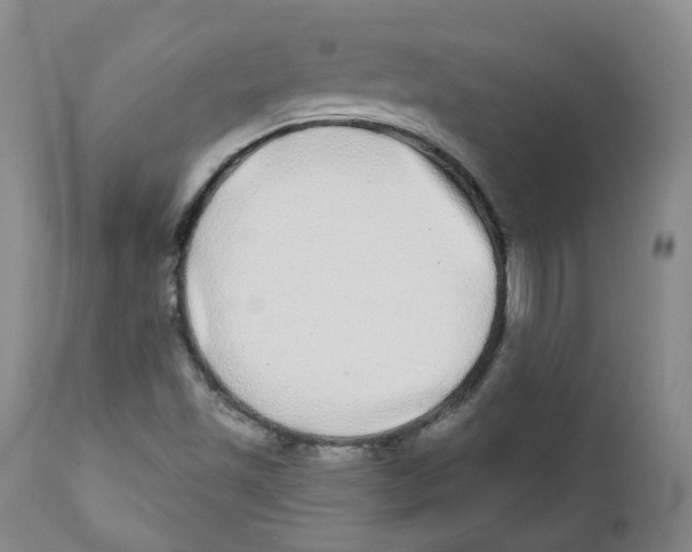 X0000112361501200909101244