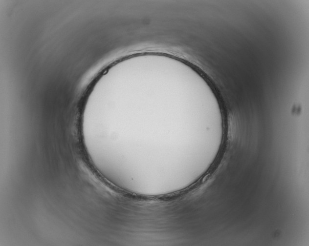 X0000112361502200909101244