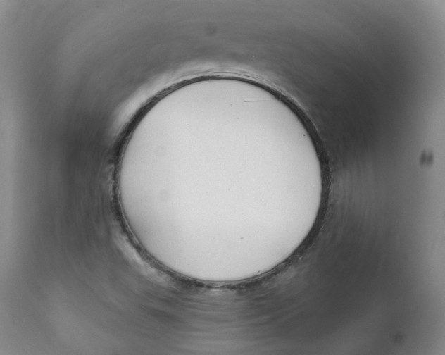 X0000112361503200909101244