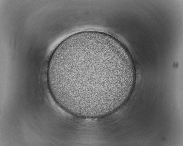 X0000112361504200909101244