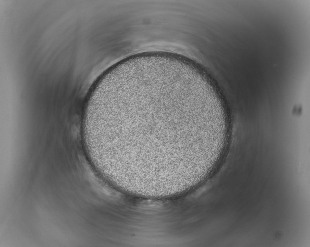 X0000112361505200909101244