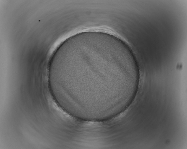 X0000112361506200909101244