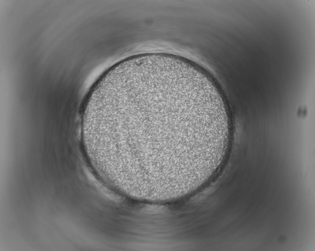 X0000112361509200909101244