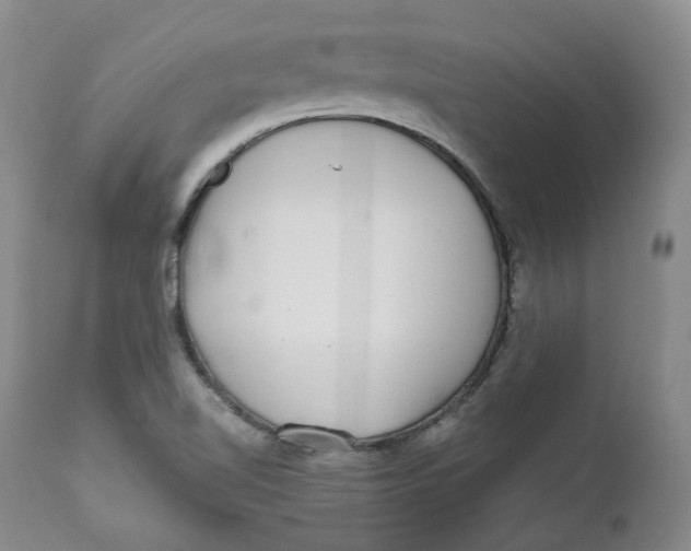 X0000112361510200909101244