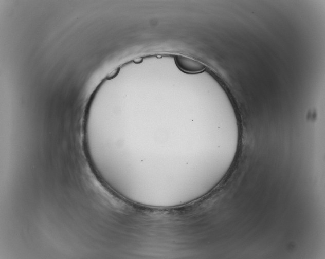X0000112361512200909101244