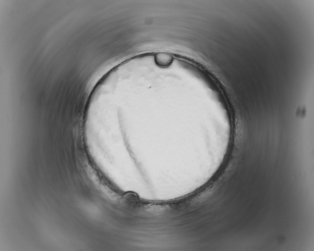 X0000112361513200909101244