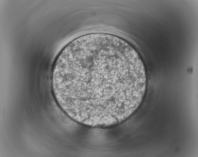 X0000112361514200909101244