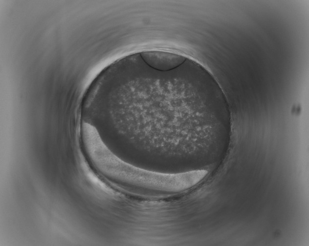 X0000112361515200909101244
