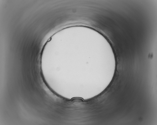 X0000112361516200909101244