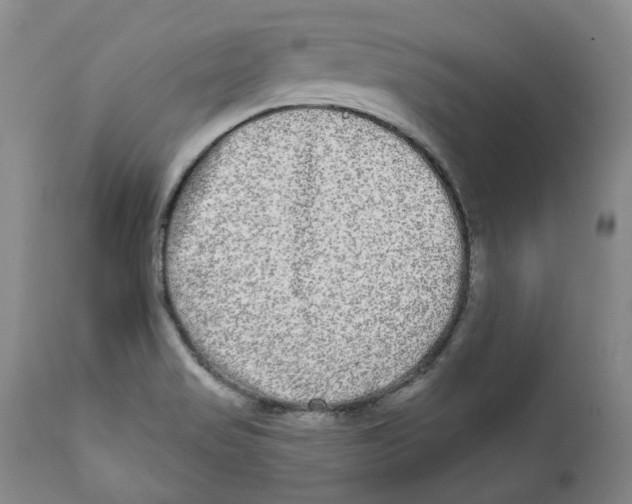 X0000112361517200909101244