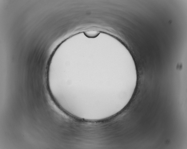 X0000112361518200909101244