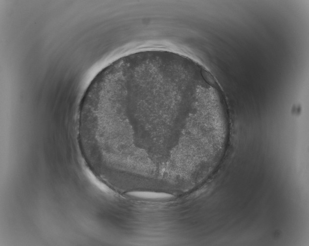 X0000112361519200909101244