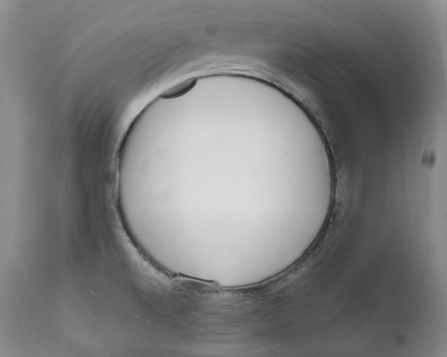 X0000112361520200909101244