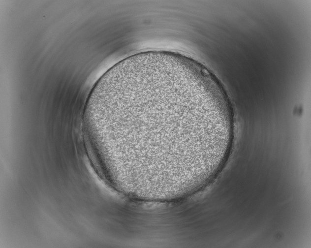 X0000112361521200909101244