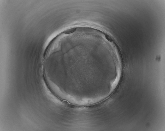 X0000112361522200909101244